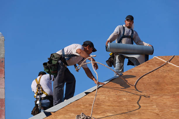 Best New Roof Installation  in West Park, FL