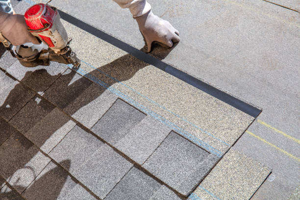 Best Shingle Roofing Installation  in West Park, FL